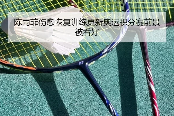 陈雨菲伤愈恢复训练更新奥运积分赛前景被看好